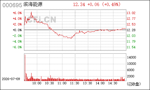 000695滨海能源分时行情