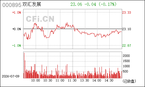 000895双汇发展分时行情