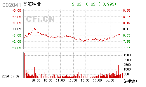 002041登海种业分时行情
