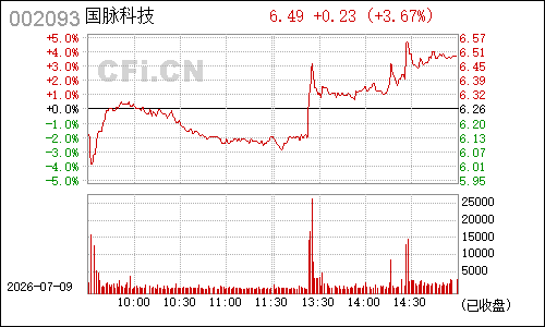 002093国脉科技分时行情