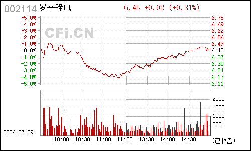 002114罗平锌电分时行情