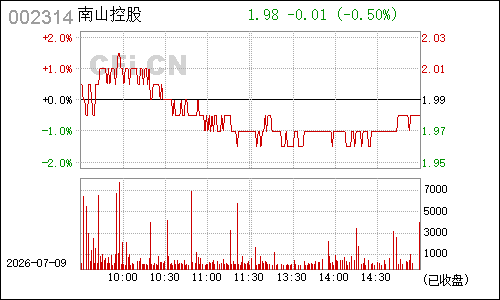 002314雅致股份分时行情