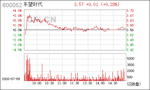 600052浙江广厦分时行情