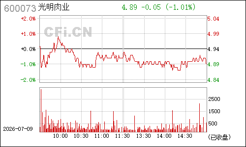 600073上海梅林分时行情