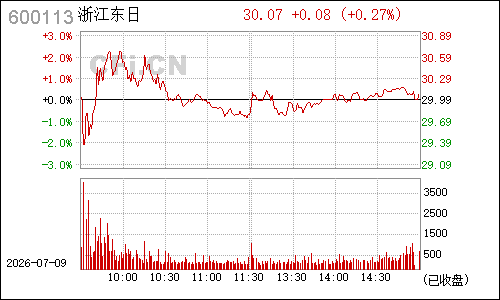 600113浙江东日分时行情