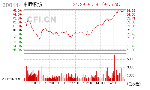 600114东睦股份分时行情