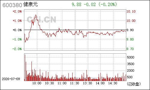 600380健康元分时行情