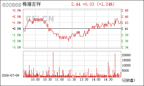 600868ST梅雁分时行情