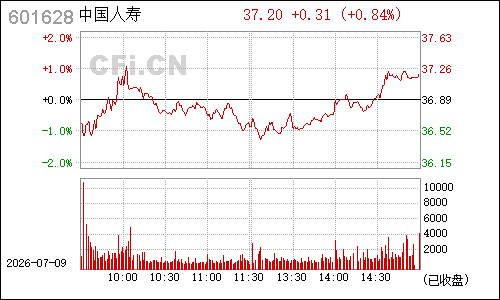 601628中国人寿分时行情